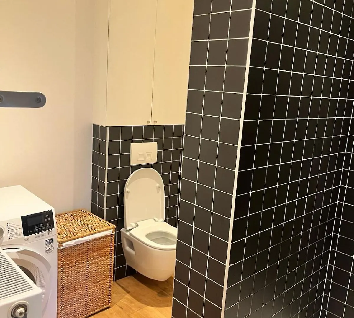 Completely Renovated Apartment アントウェルペン